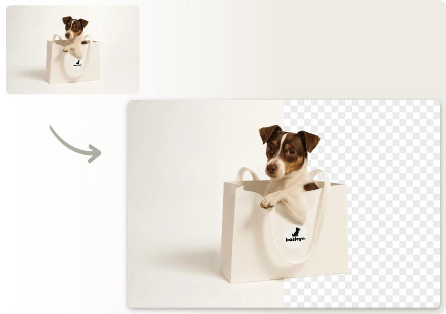 Animal Photo Examples