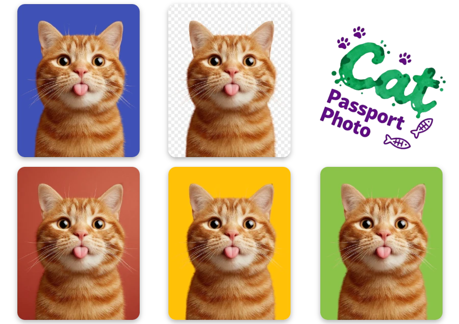 Background Remove, Meet Simplicity