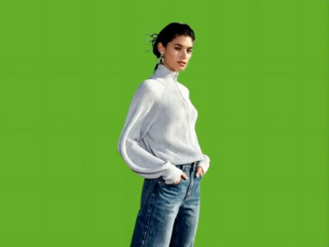 video background remover example 3