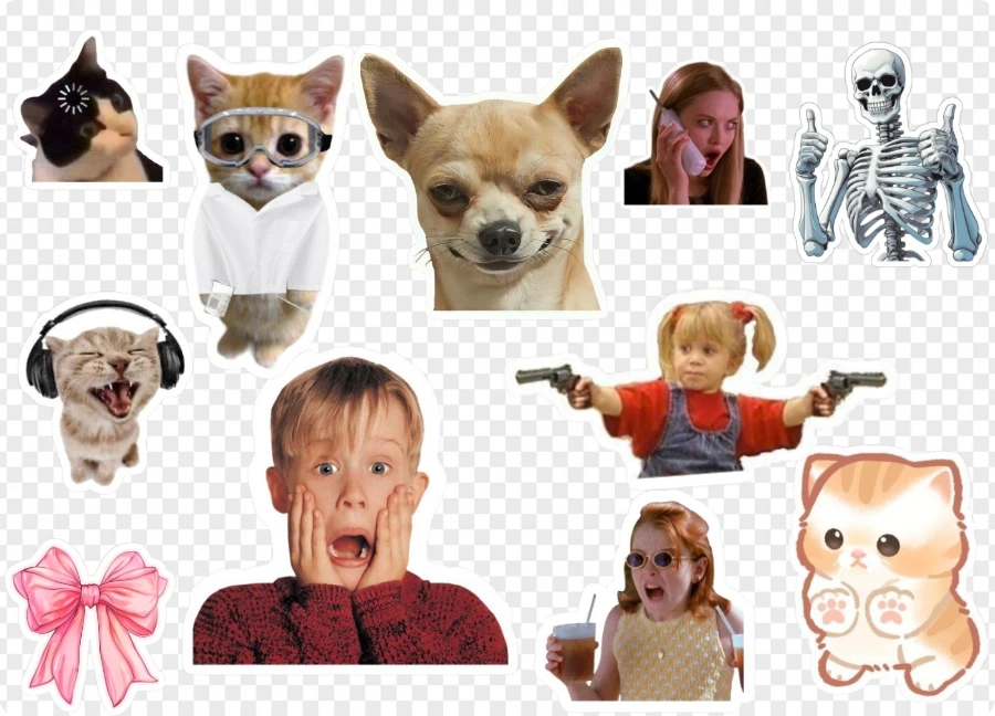 Magic Erase, Real Results