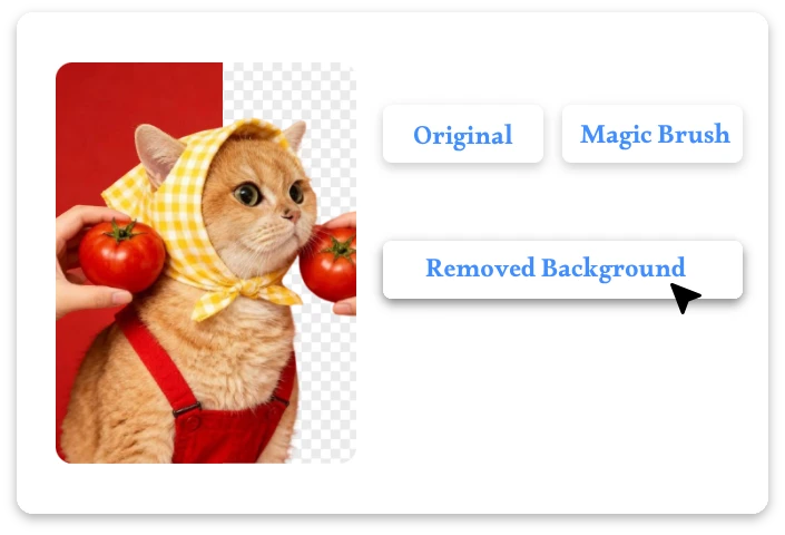 Make Background Transparent.