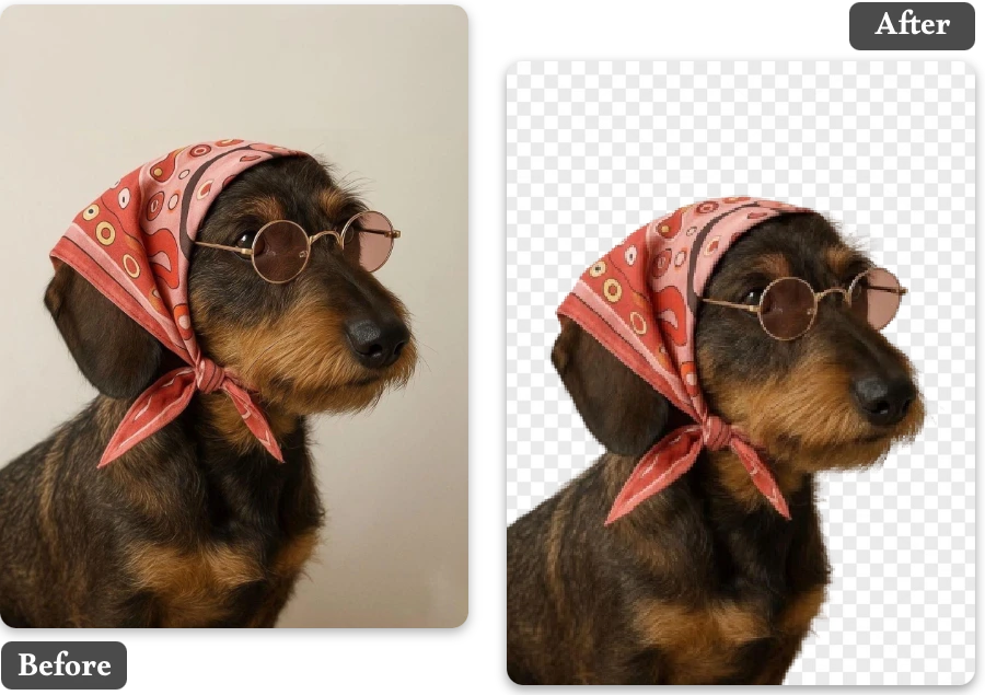 Free Online Transparent Background Maker