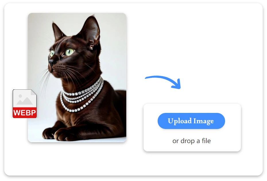 Upload Your WebP Image