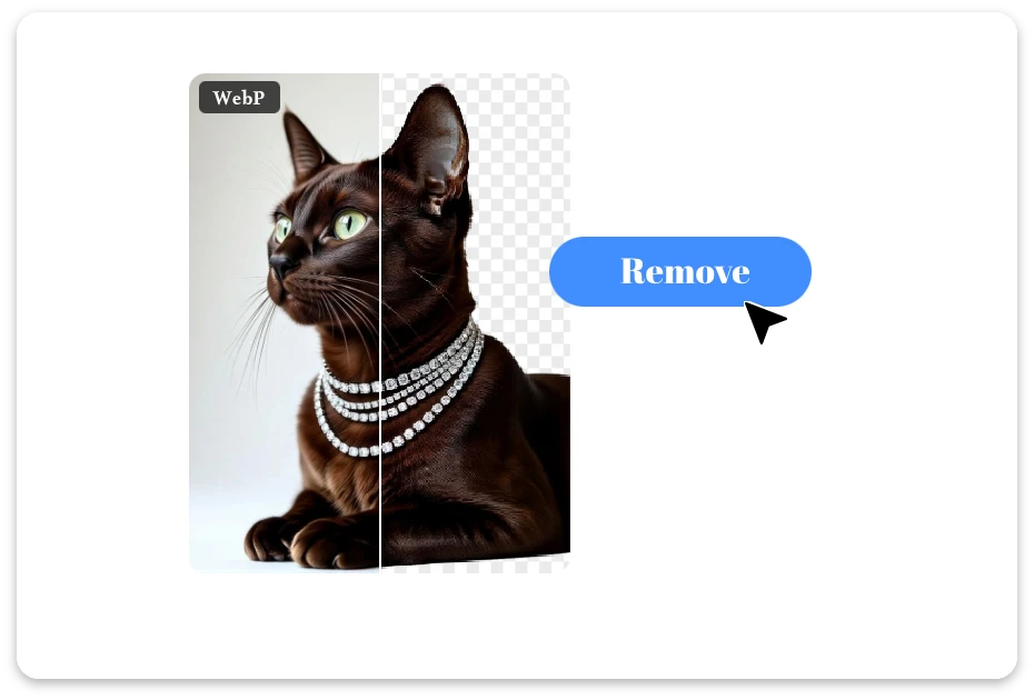 Remove the WebP Background