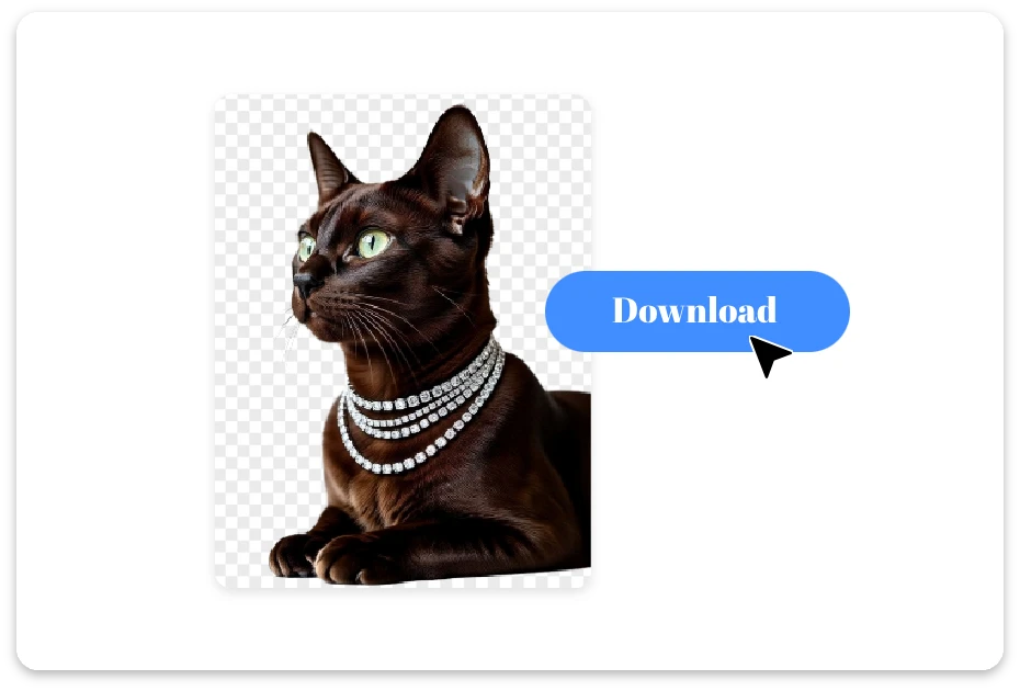 Download the Final Image